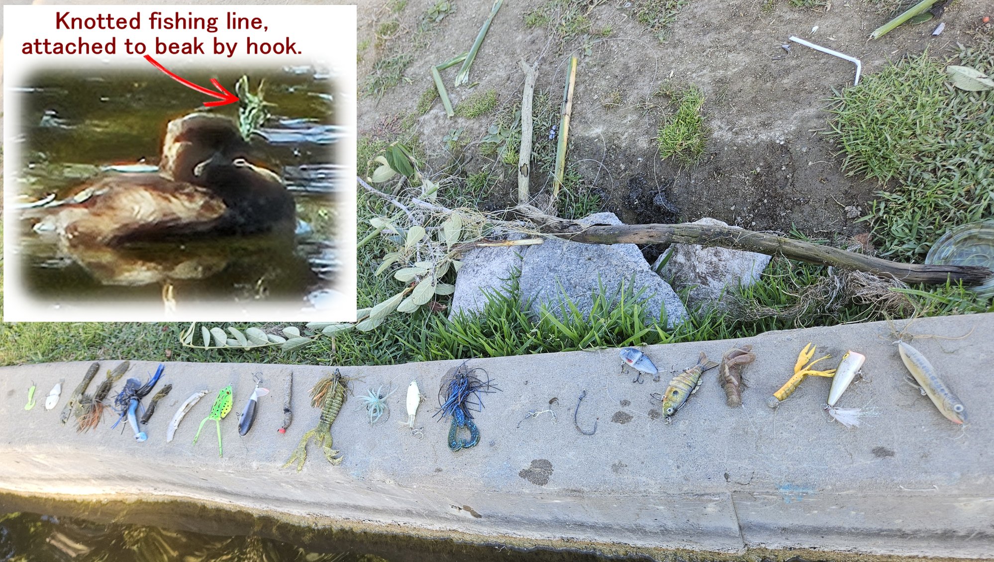 Fishing Debris
